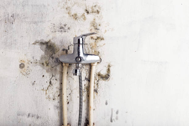 Water Damage Restoration in Greenfield, IA