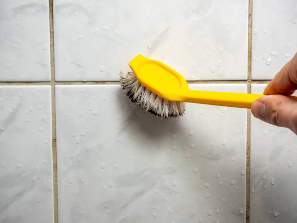 Best Emergency Mold Removal  in Greenfield, IA