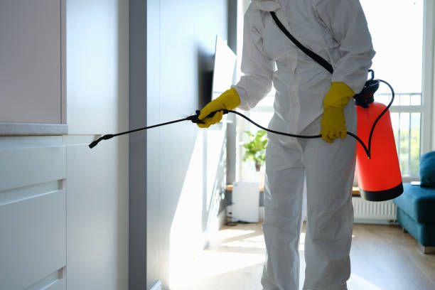Mold Removal and Inspection in Greenfield, IA