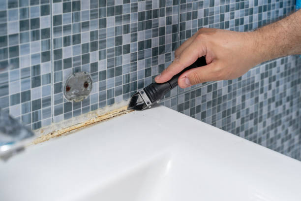 Best Fast Mold Removal  in Greenfield, IA